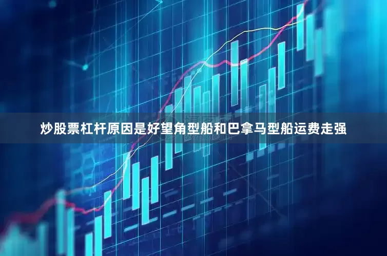 炒股票杠杆原因是好望角型船和巴拿马型船运费走强
