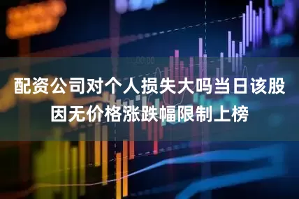 配资公司对个人损失大吗当日该股因无价格涨跌幅限制上榜