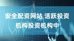 安全配资网站 活跃投资机构 投资机构中